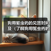 狗用驱虫药的见效时间及（了解狗用驱虫药的