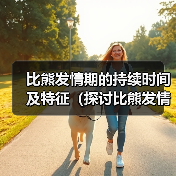 比熊发情期的持续时间及特征（探讨比熊发情