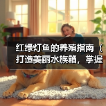 红绿灯鱼的养殖指南（打造美丽水族箱，掌握红绿灯鱼的养殖技巧）(图3)