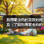 狗用驱虫药的见效时间及(了解狗用驱虫药的见效时间,保护宠物健康)(图4) 狗用驱虫药的见效时间及(了解狗用驱虫药的见效时间,保护宠物健康)(图4)