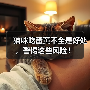 猫咪吃蛋黄不全是好处,警惕这些风险!(图4) 猫咪吃蛋黄不全是好处,警惕这些风险!(图4)