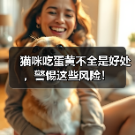 猫咪吃蛋黄不全是好处,警惕这些风险!(图3) 猫咪吃蛋黄不全是好处,警惕这些风险!(图3)