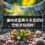 猫咪吃蛋黄不全是好处，警惕这些风险！ - 新生家伴