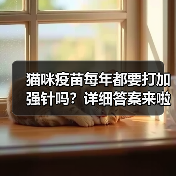 猫咪疫苗每年都要打加强针吗?详细答案来啦!(图3) 猫咪疫苗每年都要打加强针吗?详细答案来啦!(图3)