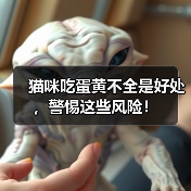 猫咪吃蛋黄不全是好处,警惕这些风险!(图3) 猫咪吃蛋黄不全是好处,警惕这些风险!(图3)