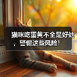 猫咪吃蛋黄不全是好处，警惕这些风险！ - 新生家伴
