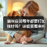 猫咪疫苗每年都要打加强针吗?详细答案来啦!(图2) 猫咪疫苗每年都要打加强针吗?详细答案来啦!(图2)