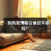 狗狗发情期会食欲不振吗?(图3) 狗狗发情期会食欲不振吗?(图3)