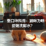 重口味科普:猫咪为啥爱喝洗脚水?(图3) 重口味科普:猫咪为啥爱喝洗脚水?(图3)