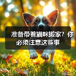 准备带着猫咪搬家？你必须注意这些事 - 新生家伴