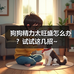 狗狗精力太旺盛怎么办?试试这几招~(图4) 狗狗精力太旺盛怎么办?试试这几招~(图4)