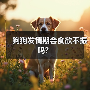 狗狗发情期会食欲不振吗？ - 新生家伴