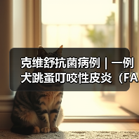 克维舒抗菌病例 | 一例犬跳蚤叮咬性皮炎（FAD）的病例分析 - 新生家伴