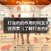 打虫药的作用时间及关键因素（了解打虫药的起作用时间有助于治疗 - 新生家伴