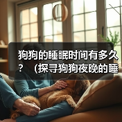 狗狗的睡眠时间有多久?(探寻狗狗夜晚的睡眠习惯与需求)(图4) 狗狗的睡眠时间有多久?(探寻狗狗夜晚的睡眠习惯与需求)(图4)