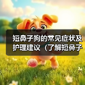 短鼻子狗的常见症状及护理建议（了解短鼻子狗的身体特征和健康问 - 新生家伴