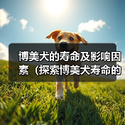博美犬的寿命及影响因素(探索博美犬寿命的关键因素及延长寿命的方法)(图2) 博美犬的寿命及影响因素(探索博美犬寿命的关键因素及延长寿命的方法)(图2)