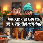 博美犬的寿命及影响因素（探索博美犬寿命的关键因素及延长寿命的 - 新生家伴