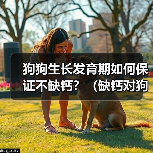 狗狗生长发育期如何保证不缺钙？（缺钙对狗狗生长发育的影响及预 - 新生家伴
