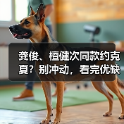 龚俊、檀健次同款约克夏?别冲动,看完优缺点再决定!(图4) 龚俊、檀健次同款约克夏?别冲动,看完优缺点再决定!(图4)