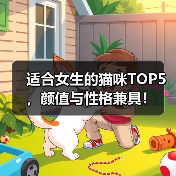 适合女生的猫咪TOP5，颜值与性格兼具！ - 新生家伴