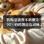 狗狗总装聋不听指令?90%的问题出在训练上(图2) 狗狗总装聋不听指令?90%的问题出在训练上(图2)
