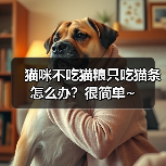 猫咪不吃猫粮只吃猫条怎么办?很简单~(图3) 猫咪不吃猫粮只吃猫条怎么办?很简单~(图3)