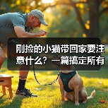 刚捡的小猫带回家要注意什么?一篇搞定所有难题(图4) 刚捡的小猫带回家要注意什么?一篇搞定所有难题(图4)