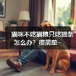 猫咪不吃猫粮只吃猫条怎么办?很简单~(图4) 猫咪不吃猫粮只吃猫条怎么办?很简单~(图4)