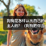 狗狗是怎样认出自己的主人的?(狗狗把你当主人的明显表现和迹象)(图2) 狗狗是怎样认出自己的主人的?(狗狗把你当主人的明显表现和迹象)(图2)