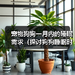 宠物狗狗一月内的睡眠需求(探讨狗狗睡眠时间与健康的关系)(图2) 宠物狗狗一月内的睡眠需求(探讨狗狗睡眠时间与健康的关系)(图2)