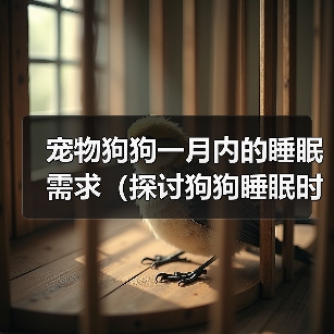 宠物狗狗一月内的睡眠需求(探讨狗狗睡眠时间与健康的关系)(图3) 宠物狗狗一月内的睡眠需求(探讨狗狗睡眠时间与健康的关系)(图3)