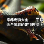 家养宠物大全——了解适合家庭的宠物选择(选择适合家庭的宠物,创造温馨的宠物生活)(图3) 家养宠物大全——了解适合家庭的宠物选择(选择适合家庭的宠物,创造温馨的宠物生活)(图3)