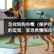 急救狗狗中毒(保护你的爱宠,紧急救援指南)(图4) 急救狗狗中毒(保护你的爱宠,紧急救援指南)(图4)