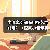 小佩牵引绳充电多久才够用?(探究小佩牵引绳的充电需求及使用时长)(图4) 小佩牵引绳充电多久才够用?(探究小佩牵引绳的充电需求及使用时长)(图4)
