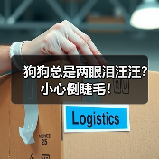 狗狗总是两眼泪汪汪？小心倒睫毛！ - 新生家伴