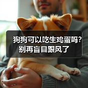 狗狗可以吃生鸡蛋吗？别再盲目跟风了(图2)