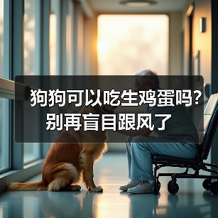 狗狗可以吃生鸡蛋吗？别再盲目跟风了(图3)