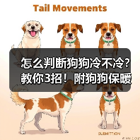 怎么判断狗狗冷不冷?教你3招!附狗狗保暖小Tips✔(图3) 怎么判断狗狗冷不冷?教你3招!附狗狗保暖小Tips✔(图3)