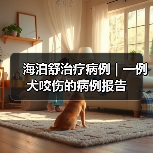 海泊舒治疗病例 | 一例犬咬伤的病例报告 - 新生家伴