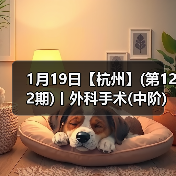 1月19日【杭州】(第122期)丨外科手术(中阶)实战班,2人/组提供一猫一狗,实操超多!(图3) 1月19日【杭州】(第122期)丨外科手术(中阶)实战班,2人/组提供一猫一狗,实操超多!(图3)