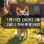 1月19日【杭州】(第122期)丨外科手术(中阶)实战班,2人/组提供一猫一狗,实操超多!(图4) 1月19日【杭州】(第122期)丨外科手术(中阶)实战班,2人/组提供一猫一狗,实操超多!(图4)
