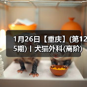 1月26日【重庆】(第125期)丨犬猫外科(高阶)班!含SUB(人人可实操)、乳糜胸等技术!(图2) 1月26日【重庆】(第125期)丨犬猫外科(高阶)班!含SUB(人人可实操)、乳糜胸等技术!(图2)