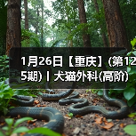 1月26日【重庆】(第125期)丨犬猫外科(高阶)班！含SU - 新生家伴