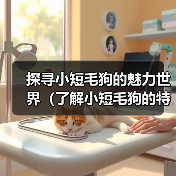 探寻小短毛狗的魅力世界（了解小短毛狗的特点及养护，让你爱上这 - 新生家伴