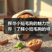 探寻小短毛狗的魅力世界(了解小短毛狗的特点及养护,让你爱上这个可爱的品种)(图3) 探寻小短毛狗的魅力世界(了解小短毛狗的特点及养护,让你爱上这个可爱的品种)(图3)