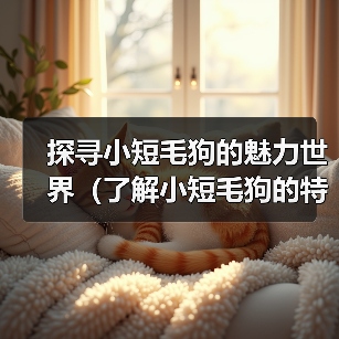 探寻小短毛狗的魅力世界(了解小短毛狗的特点及养护,让你爱上这个可爱的品种)(图4) 探寻小短毛狗的魅力世界(了解小短毛狗的特点及养护,让你爱上这个可爱的品种)(图4)