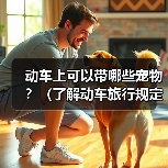 动车上可以带哪些宠物？（了解动车旅行规定，带上合适的宠物与你 - 新生家伴