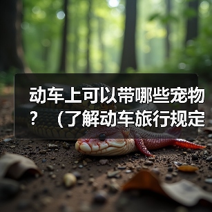 动车上可以带哪些宠物?(了解动车旅行规定,带上合适的宠物与你共享旅途)(图4) 动车上可以带哪些宠物?(了解动车旅行规定,带上合适的宠物与你共享旅途)(图4)