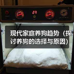 现代家庭养狗趋势(探讨养狗的选择与原因)(图4) 现代家庭养狗趋势(探讨养狗的选择与原因)(图4)